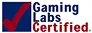 gaming-lab-sample-image